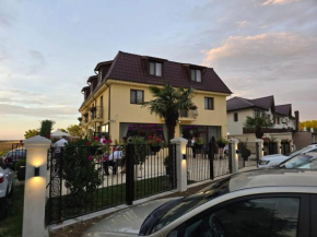 Mihai Palace